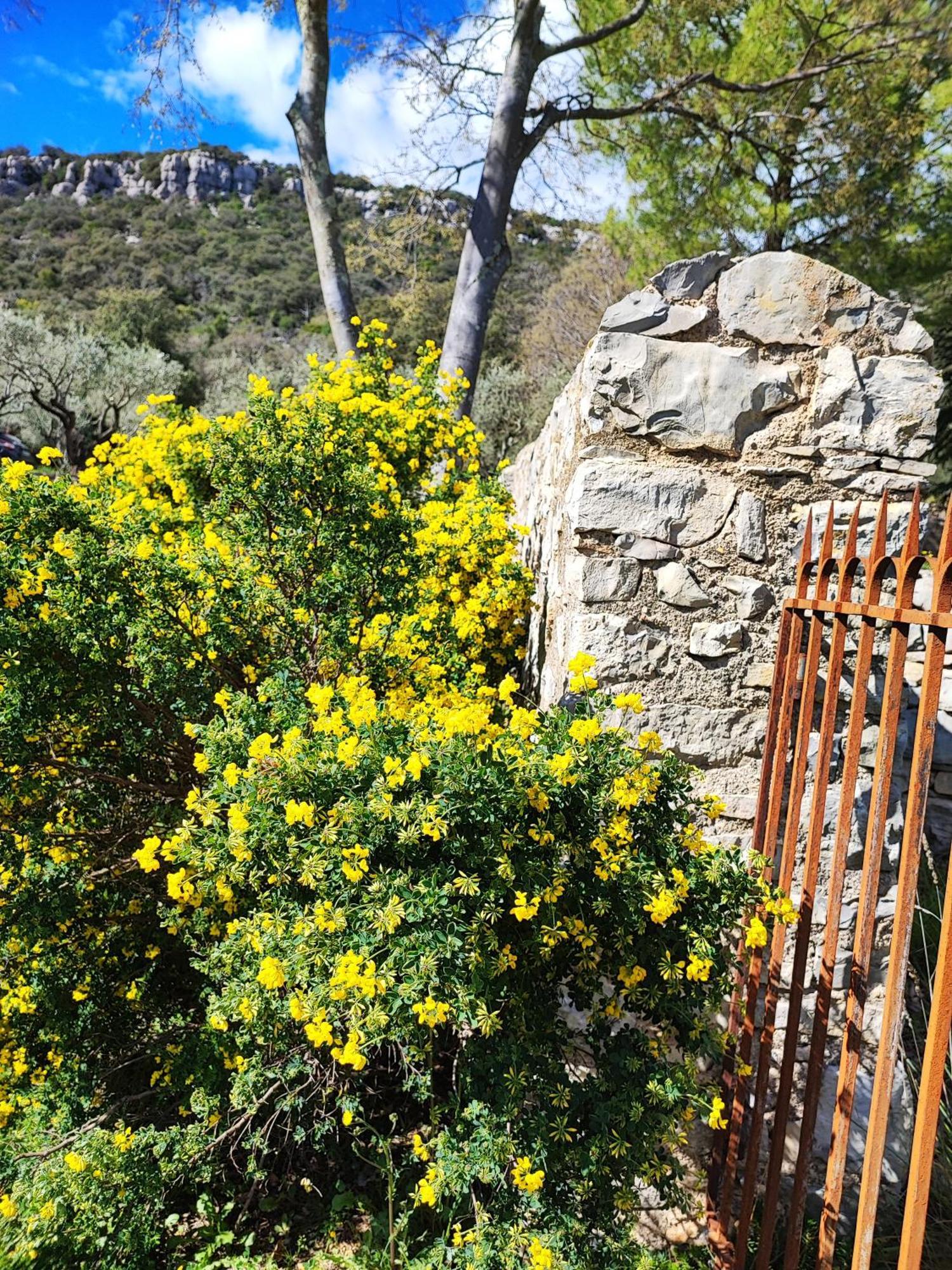 La Bergerie De Corconne Villa Kültér fotó